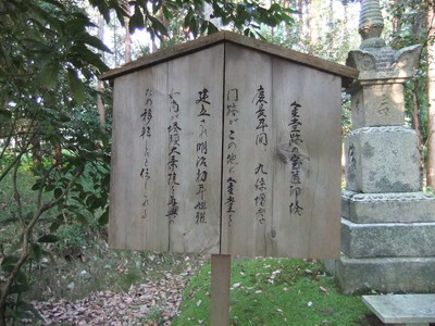 ��Ʋ��������