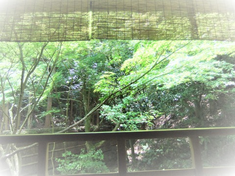 2011.6.14 Ê¿Ìî²°Êì²°¤Ë¤Æ