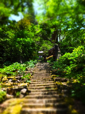 5�����ʾ�˴Ѳ�Ʋ