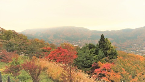 Ȣ�����������ι���