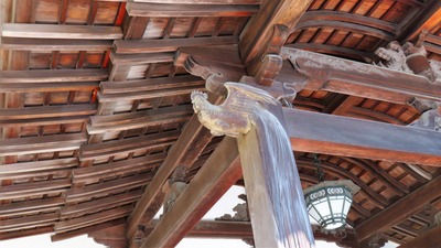 ��������������ˤ���Ĺ�ܤ���ɡ����ˤ�Ĺ����������Ф���Ƥ���