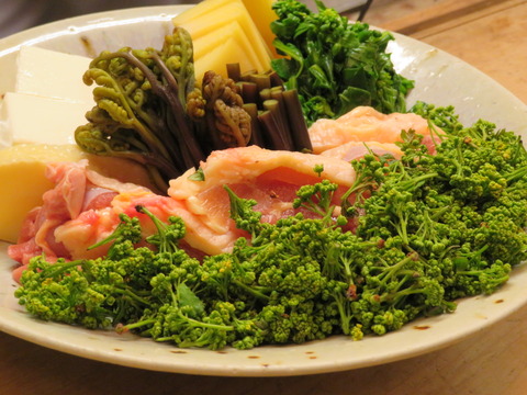 ¥½Õ¤ÎÄÁÌ£¡¦²Ö»³Ü¥