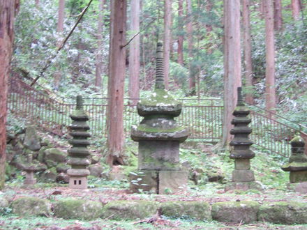 ��¤¿����