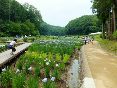 �������ë�͡ɤǤ�