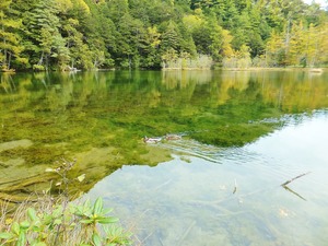 ¿À»ö¤ÎÁ°¤Ë±õò󤬯ó±©