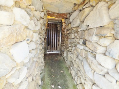 ��ƻ�ȸ���