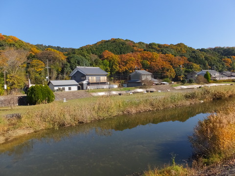 �����ػ���˸���Ȼ��ػ�