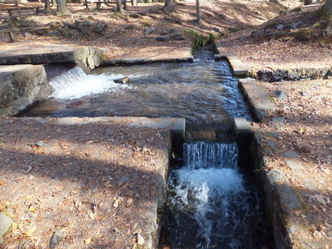 �������Ф�ͯ�夬��������ʬ�����