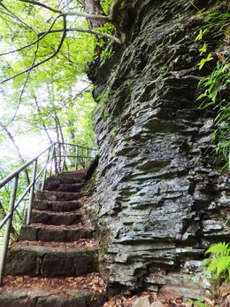 ����ؤ�ƻ��³���ľ�����