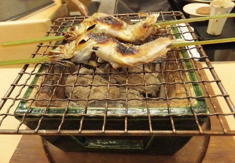 ���ʸФ��̤ǺΤ줿���Ǥ�