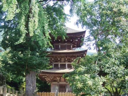 ���ɤȻ�����