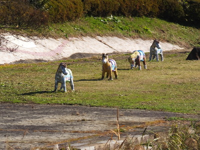 13��������