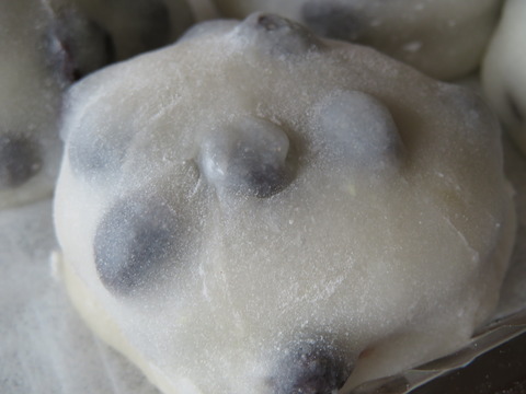 ¡½ÐÄ®¤Õ¤¿¤Ð¡¡Æ¦¤â¤Á