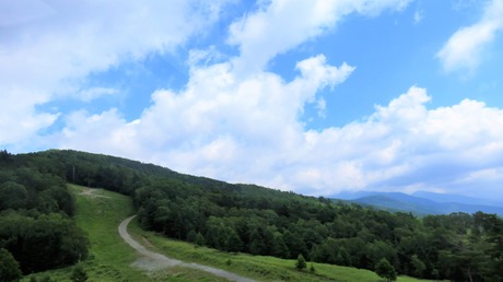 4�������ץ���������ηʿ�