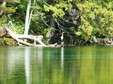 ÌÀ¿ÀÃӤαü¤Ë±©¤òµÙ¤á¤ëÇòºí