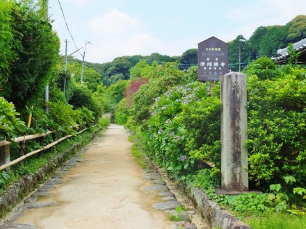 2������������ƻ