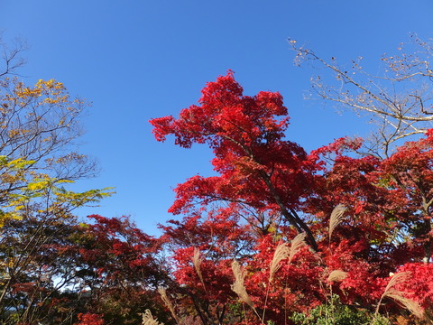 24���������