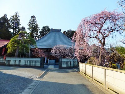 �߹ỳ������