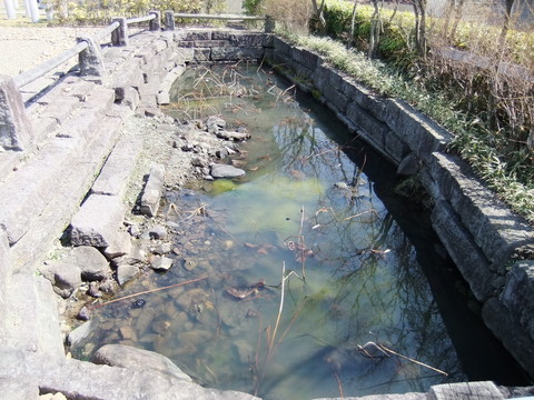 �����ٰ���