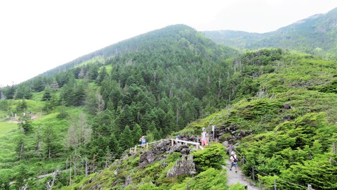 12�����ٷƽ꤫��ηʴ�