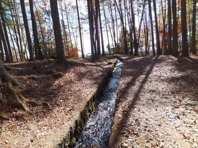 �Ӵ֤�椯����ο�ϩ