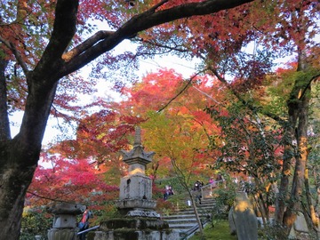 ���Ͼ��αʴ�Ʋ����