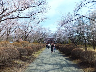 ¤Þ¤À»°Ê¬ºé