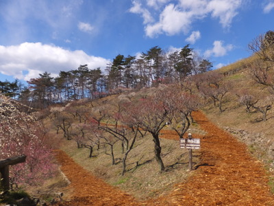 9����ʢ�˹�������ɴ�ֱ�