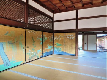 ���¡�����