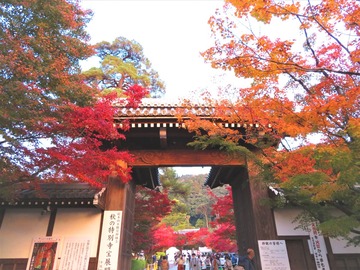 �ʴ�Ʋ������©��Τ���դζ���