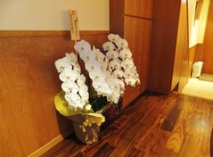 ���Ԥγ�ˣ�ɤޤĤ����ɤ�����ĳ�����Ϥ��Ƥ��ޤ���