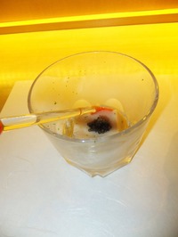 ¸ÕËãÆ¦É奥ã¥Ó¥¢Åº¤¨