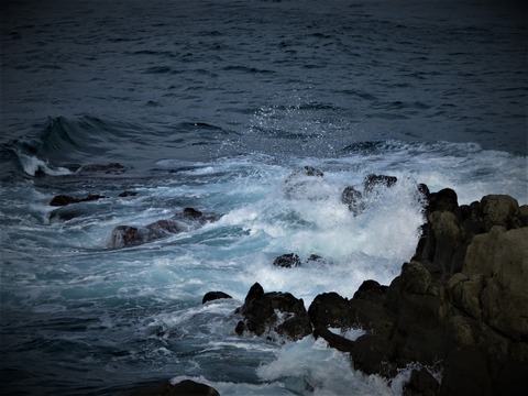 ������Ǥ��դ�����