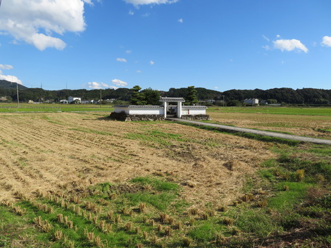 ��˻���Ĥ�˵��Ǹ��Ĥ���줿���