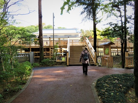 ���������Ҥ�����¿���