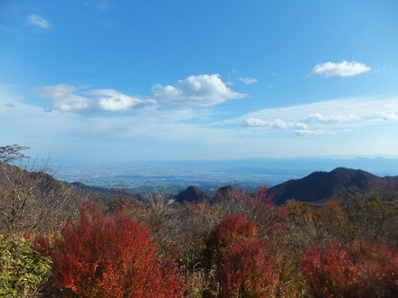 ��̾�ٻλ�ĺ���