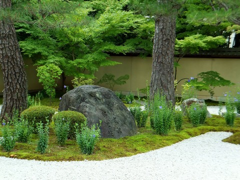 �缰��š���״��ݤ�����