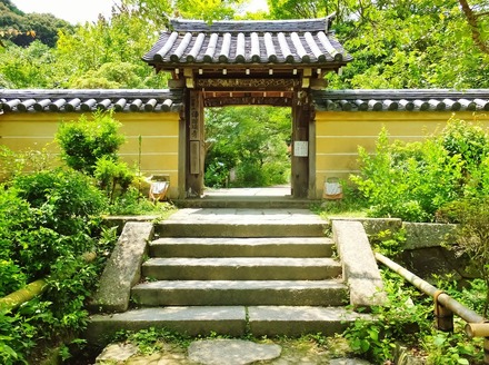 5��������������