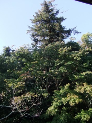 ���������־�������ȹ���