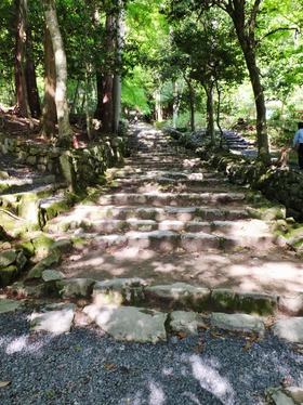 ������ɴ�ѻ��γ���