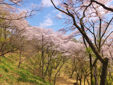 6������ؤλ���