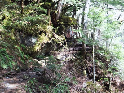 �������Ľ�⤢��ޤ�