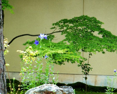 �˹�����