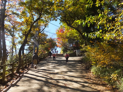 18����ĺ�������Ƥ���