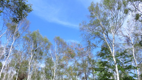 12¡¦½©¶õ¤ËÇò³ò