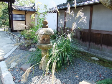 �̳�š�������