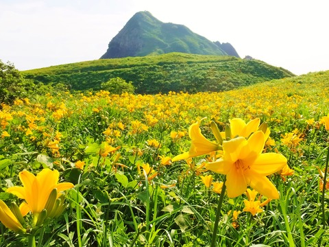 �ȥӥ��ޥ��󥾥������