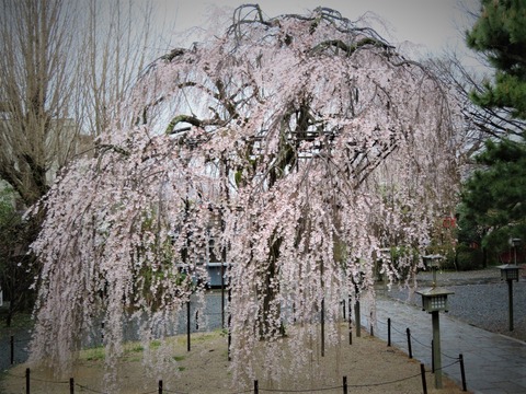 �������ʻ޿�����������