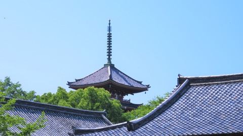 £²£´¡¦½ñ±¡¤Îᰤȸ޽ÅÅã