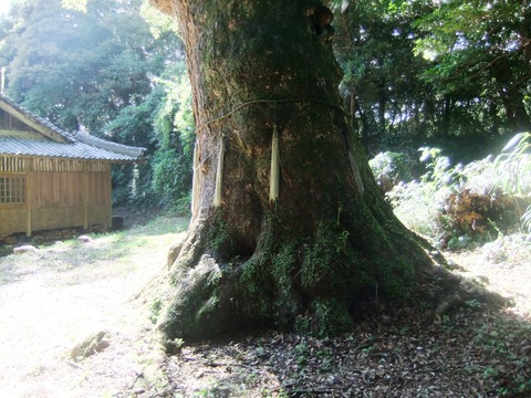 2010_083110ǯ8������0108